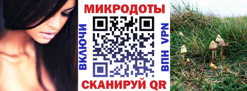 Галлюциногенные грибы Cubensis  Купить где  Александровск-Сахалинский 